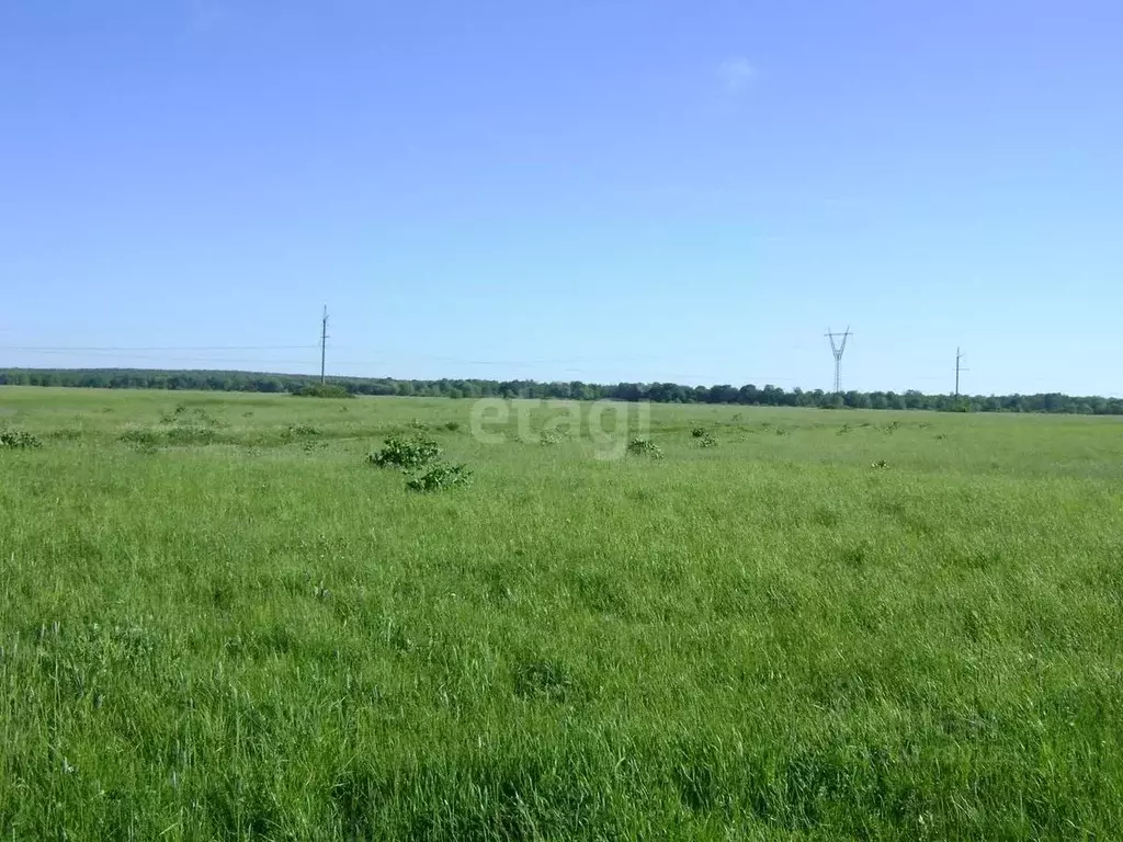 Участок в Крым, Феодосия муниципальный округ, с. Береговое ул. ... - Фото 0
