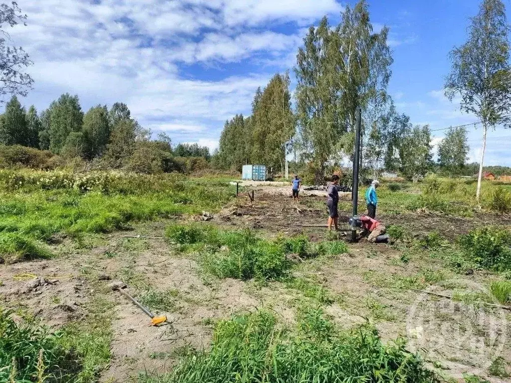Участок в Ленинградская область, Приозерский район, Ларионовское ... - Фото 1