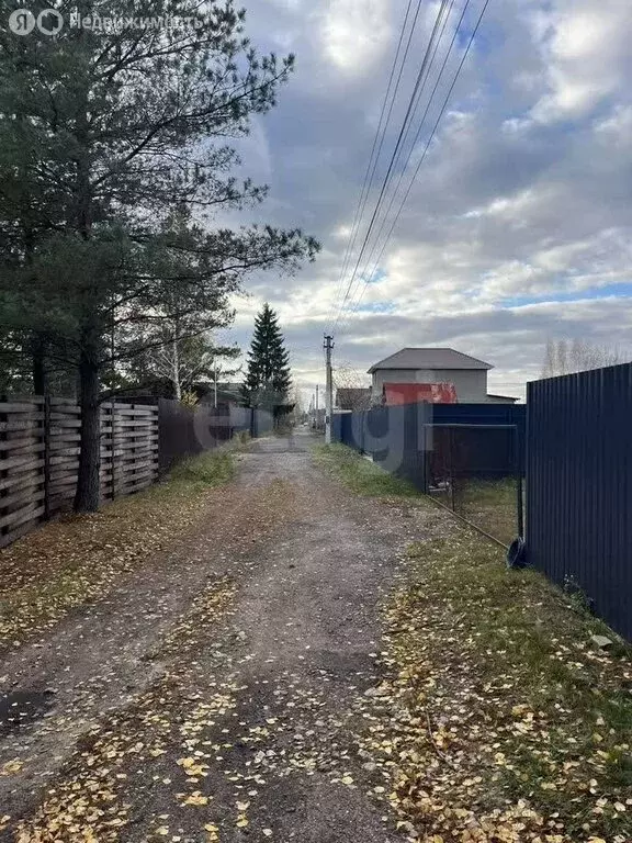 Участок в Рамонский район, Айдаровское сельское поселение, СНТ ... - Фото 2