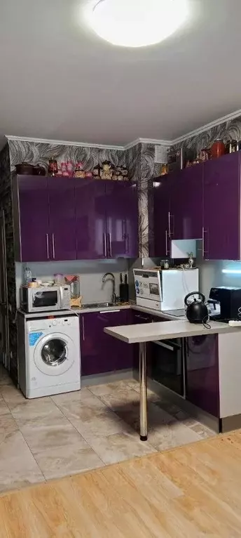 Студия Московская область, Солнечногорск городской округ, Голубое пгт ... - Фото 1