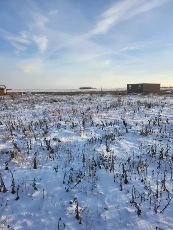 Участок в Ростовская область, Аксайский район, Мишкинская ст-ца ул. ... - Фото 1