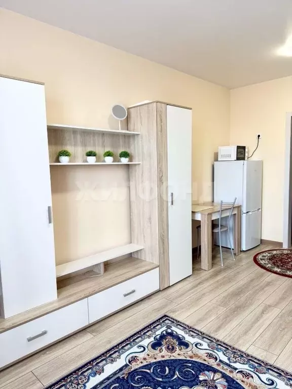 Студия Новосибирская область, Новосибирск Гурьевская ул., 177/1 (30.0 ... - Фото 1