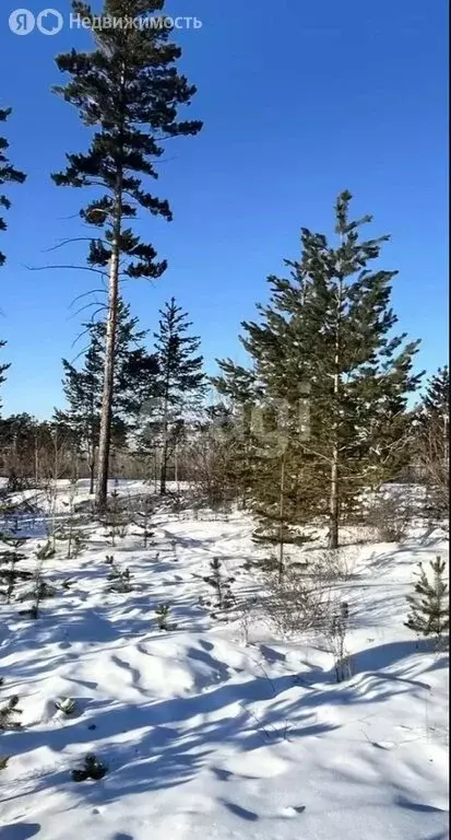 Участок в село Смоленка, урочище Лесное (11 м) - Фото 2