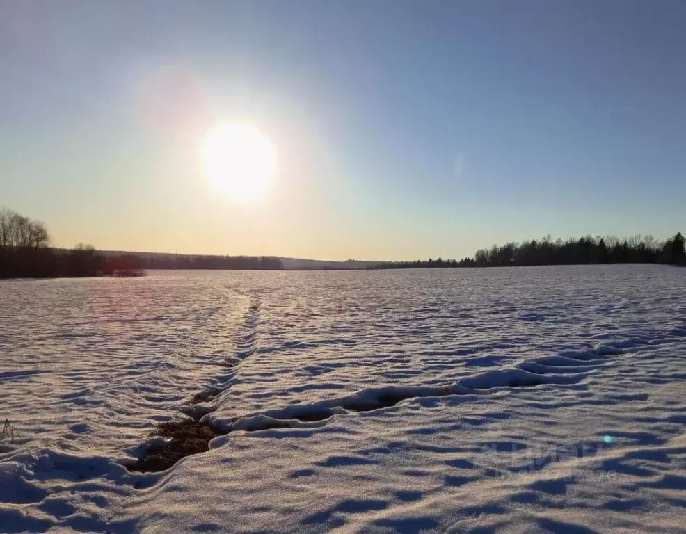 Участок в Московская область, Дмитровский муниципальный округ, д. ... - Фото 1