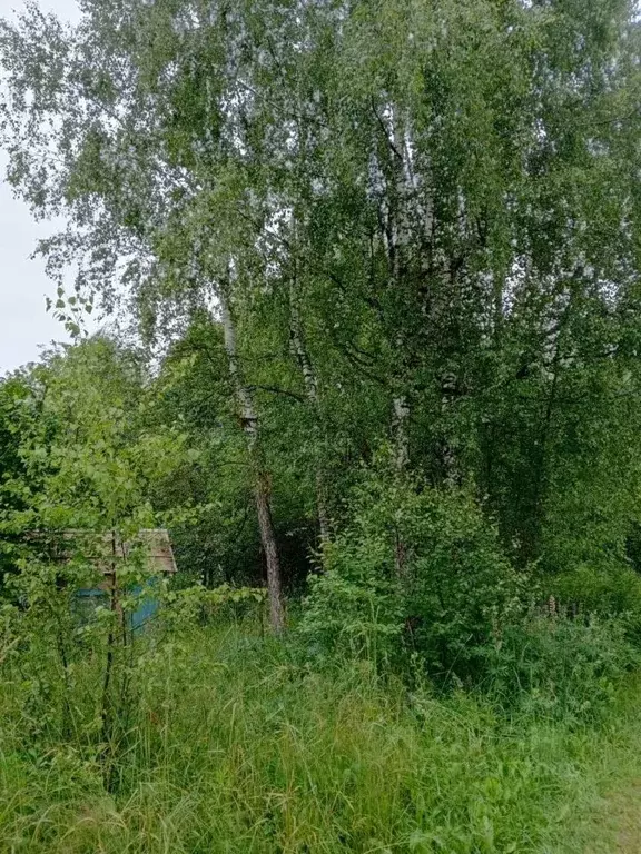 Участок в Калужская область, Бабынинский район, Воротынск городское ... - Фото 2