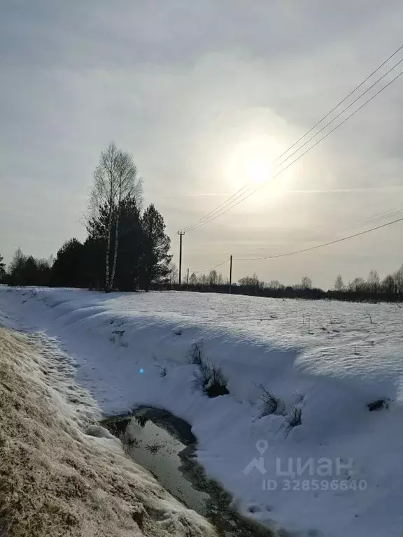 Участок в Московская область, Талдомский городской округ, д. Арефьево ... - Фото 1