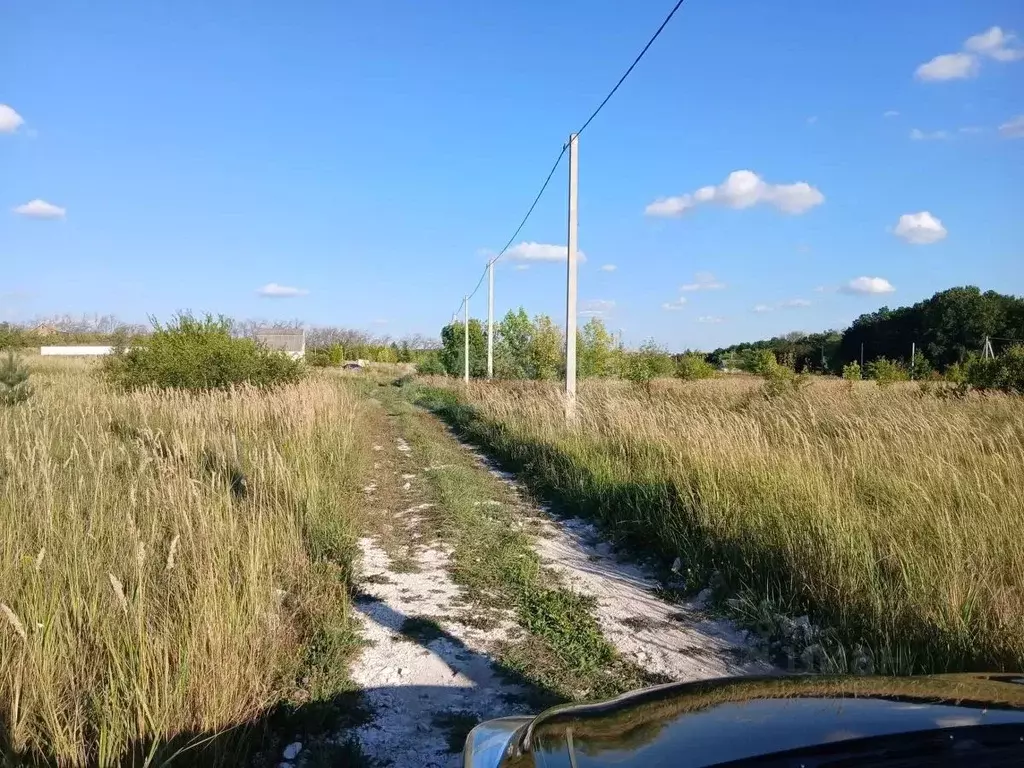 Участок в Белгородская область, Корочанский муниципальный округ, ... - Фото 1