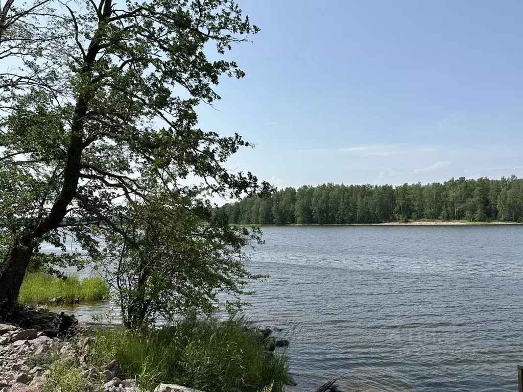 Участок в Ленинградская область, Высоцк Выборгский район, ул. Победы, ... - Фото 1