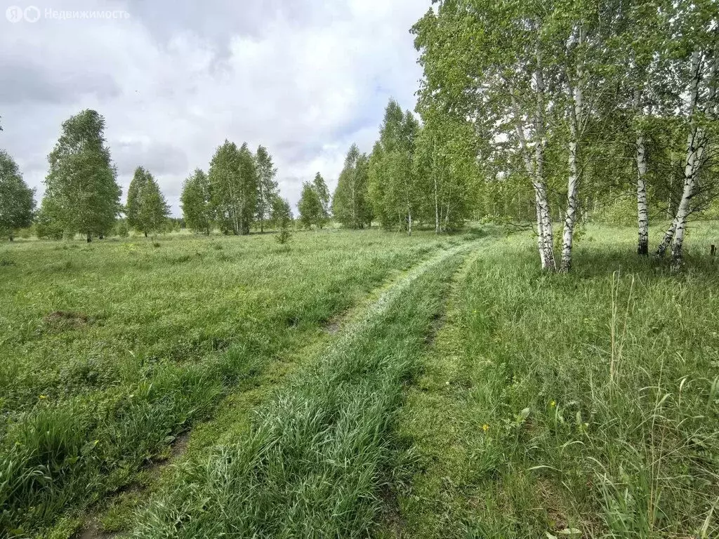 Участок в Каменский сельсовет (8 м) - Фото 1
