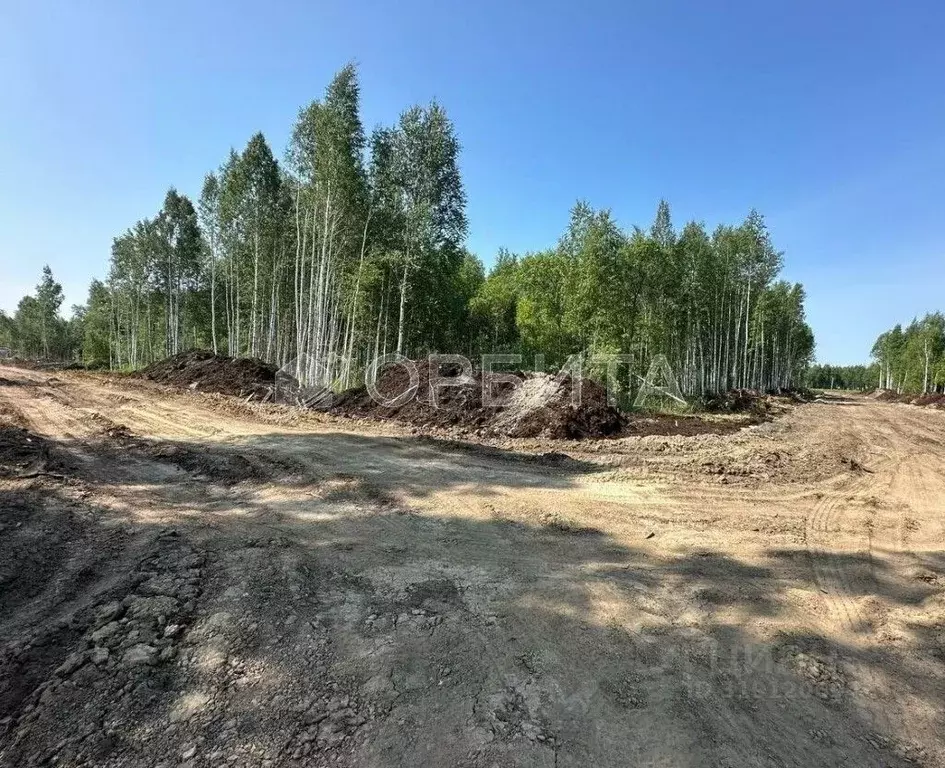Участок в Тюменская область, Тюменский район, д. Решетникова ул. ... - Фото 0