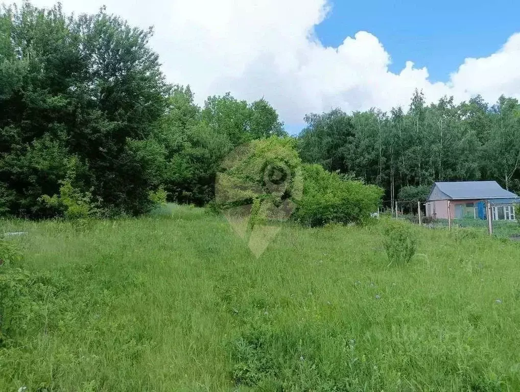 Участок в Белгородская область, Старооскольский городской округ, ... - Фото 1