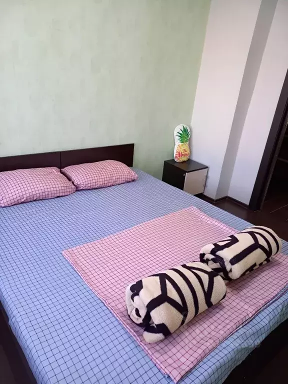 Дом в Краснодарский край, Анапа муниципальный округ, с. Витязево ул. ... - Фото 1