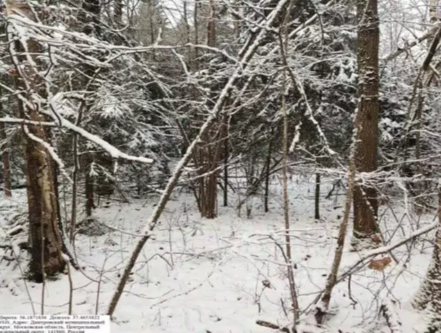 Участок в Московская область, Дмитровский муниципальный округ, Икша ... - Фото 1