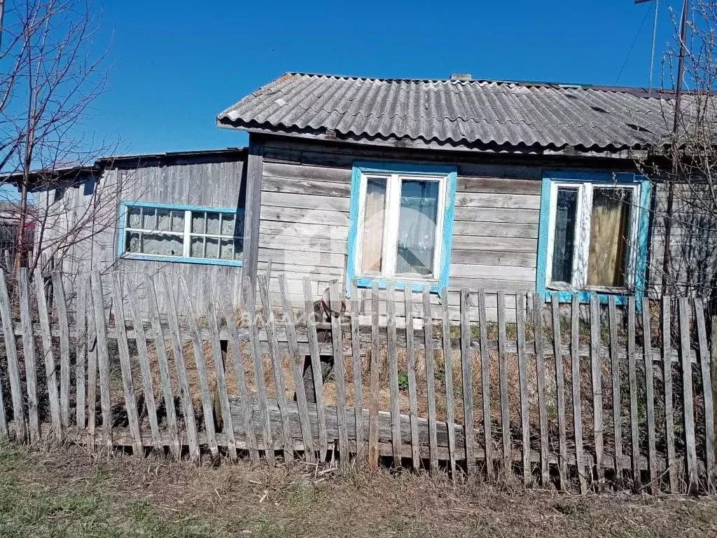 Дом в Новосибирская область, Коченевский район, д. Овчинниково ... - Фото 0