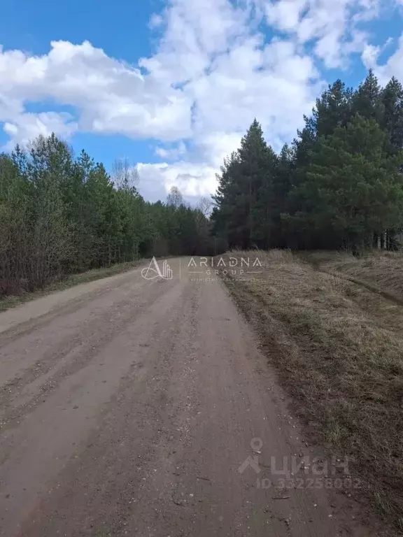 Участок в Башкортостан, Чишминский район, Лесной сельсовет, с. ... - Фото 2