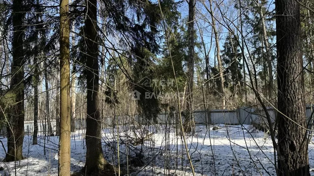 Участок в Московская область, Щелково городской округ, Планета СНТ 58 ... - Фото 2