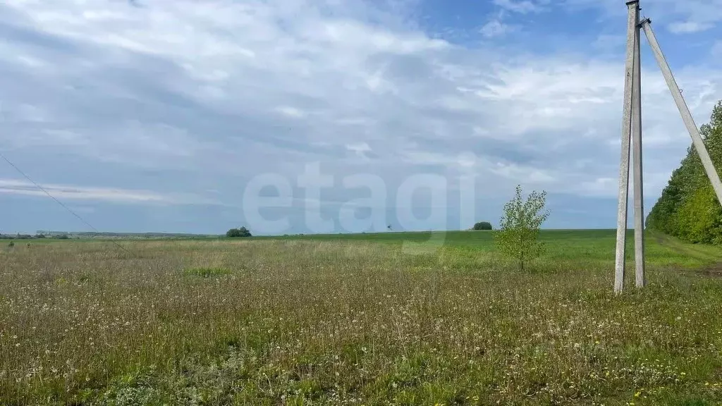 Участок в Татарстан, Лаишевский район, Чирповское с/пос, Богородский ... - Фото 1