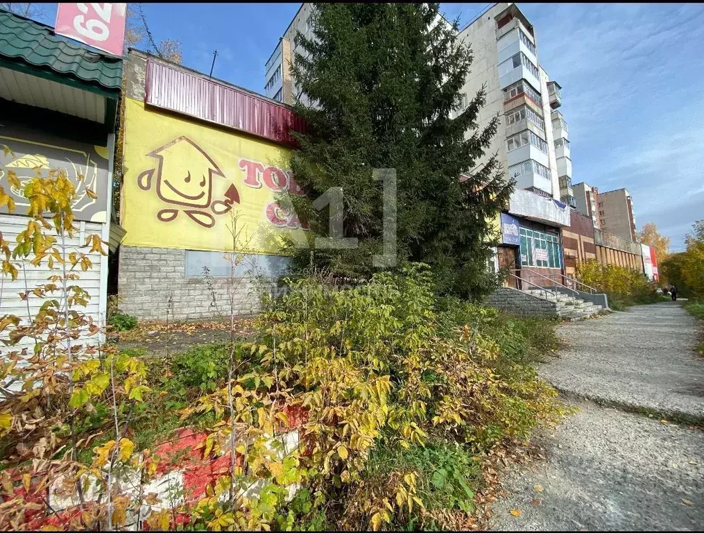 Помещение свободного назначения в Челябинская область, Златоуст ул. ... - Фото 1