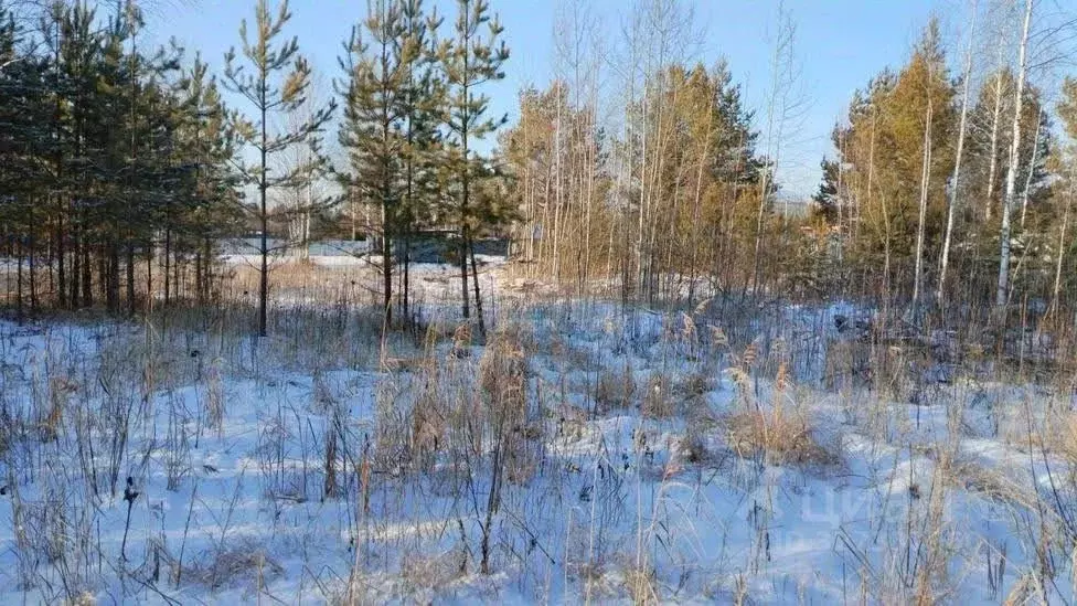 Участок в Тюменская область, Нижнетавдинский муниципальный округ, ... - Фото 1