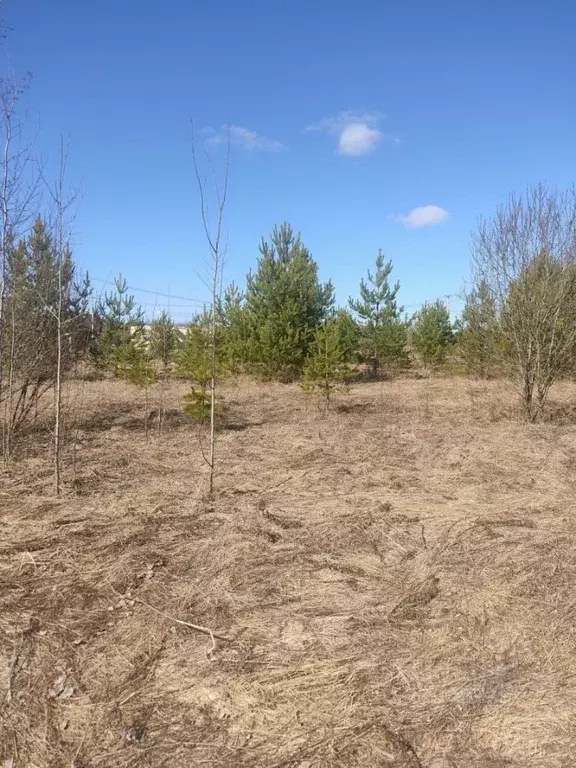 Участок в Кировская область, Киров городской округ, д. Эсауловы  (12.0 ... - Фото 1