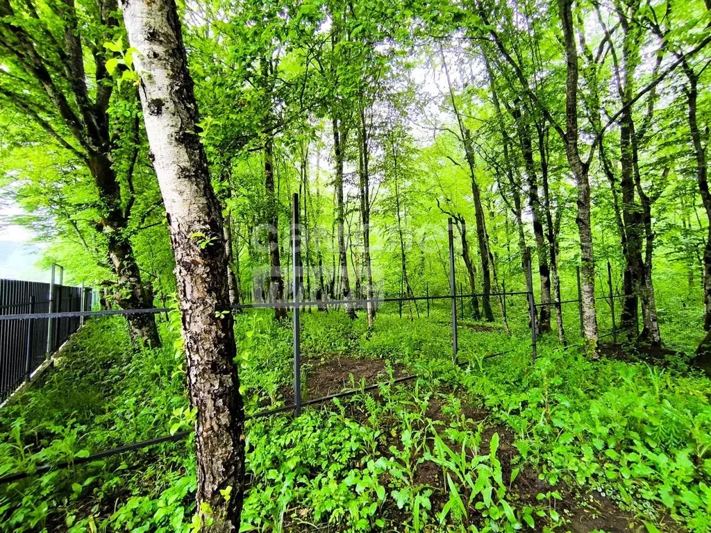Участок в Краснодарский край, Апшеронский район, Нижегородское с/пос, ... - Фото 2