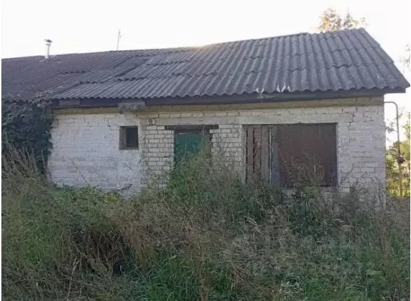 Помещение свободного назначения в Владимирская область, Гороховецкий ... - Фото 1