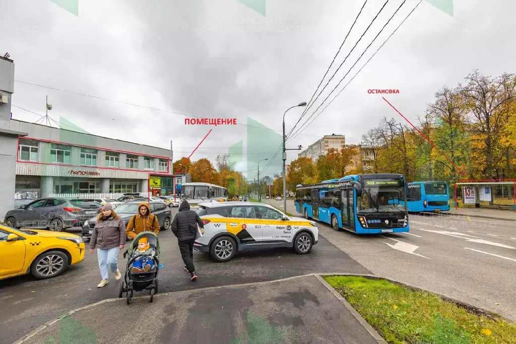 Помещение свободного назначения в Москва Болотниковская ул., 21С3 (264 ... - Фото 1