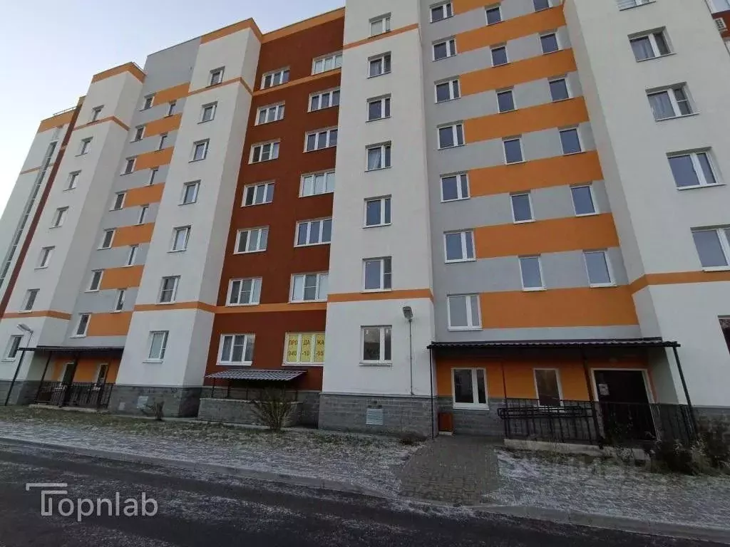 Студия Санкт-Петербург Петергофское ш., 90к3 (25.0 м) - Фото 1