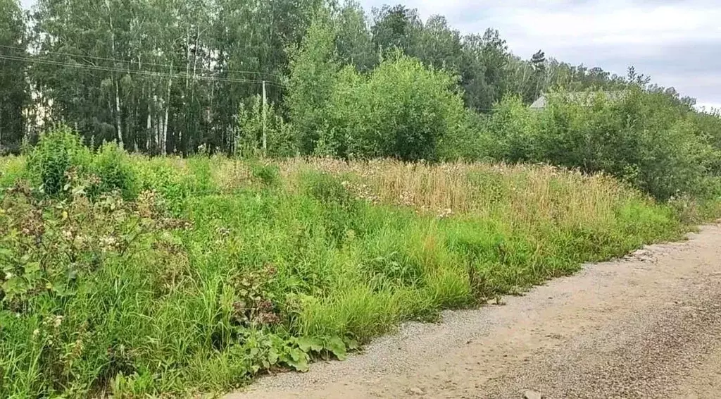 Участок в Свердловская область, Полевской городской округ, с. ... - Фото 0