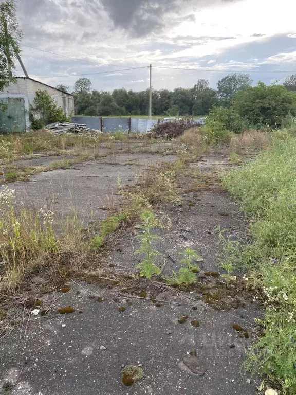 Участок в Краснодарский край, Мостовское городское поселение, Веселый ... - Фото 0