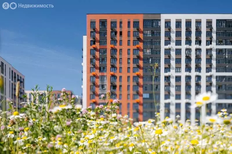 Помещение свободного назначения (3.1 м) - Фото 1