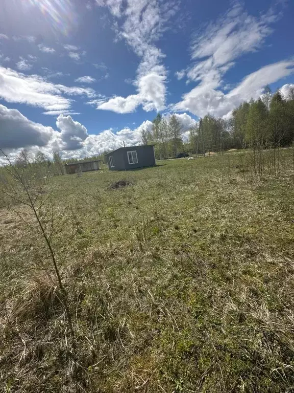 Участок в Московская область, Можайский муниципальный округ, Лесная ... - Фото 1