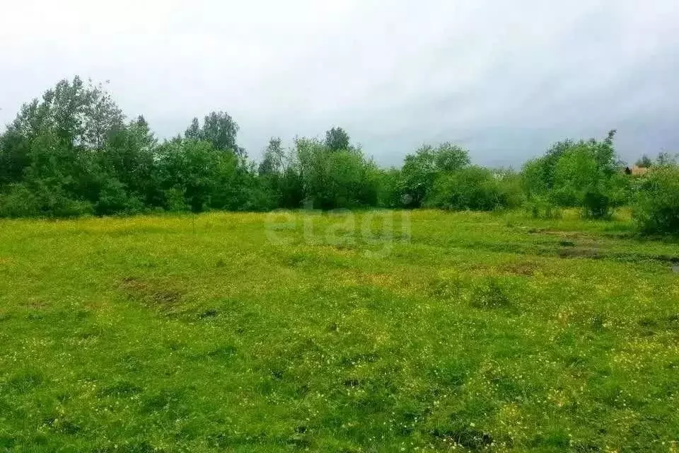Участок в Мамоново, СНТ Мечта (5.3 м) - Фото 2
