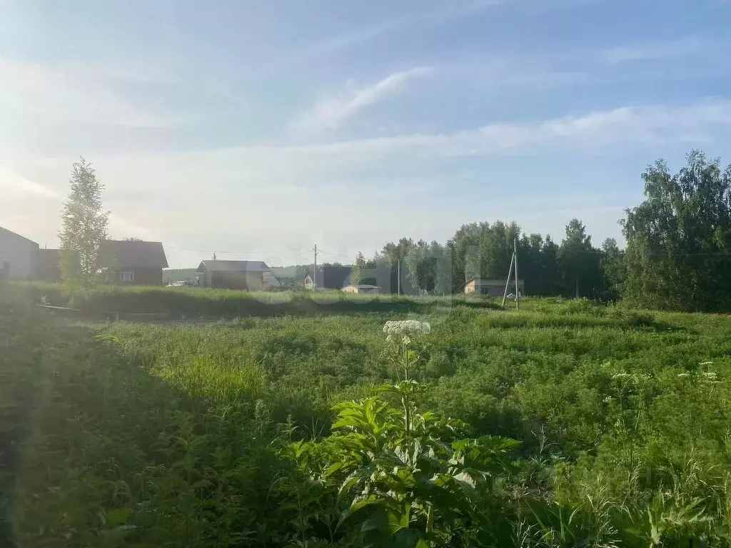 Участок в Кемеровская область, Кемеровский муниципальный округ, д. ... - Фото 1