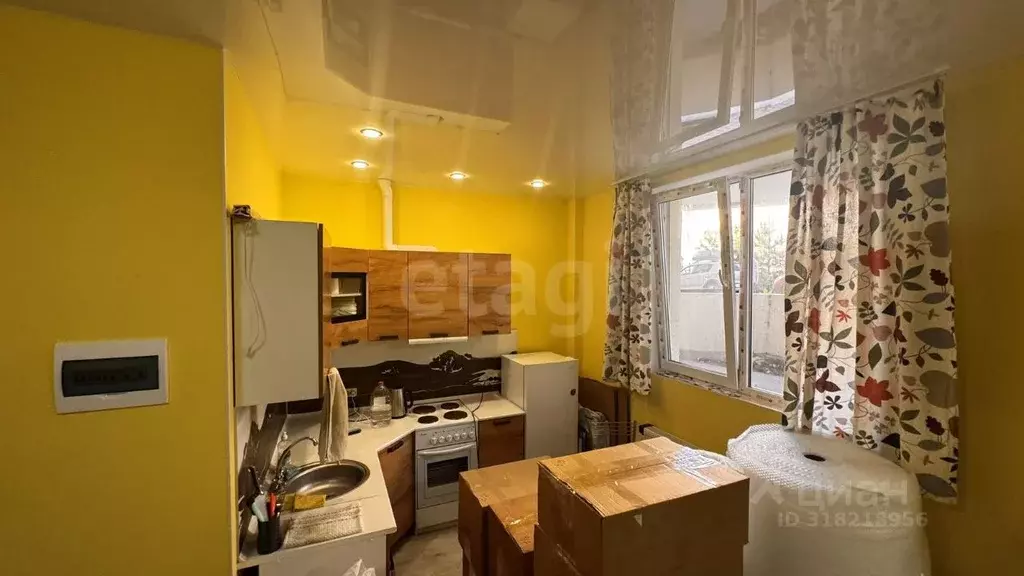 Студия Краснодарский край, Анапа ул. Ленина, 183 (41.6 м) - Фото 1