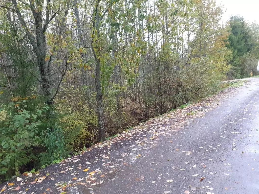 Участок в Ленинградская область, Тосненский район, Трубникоборское ... - Фото 1