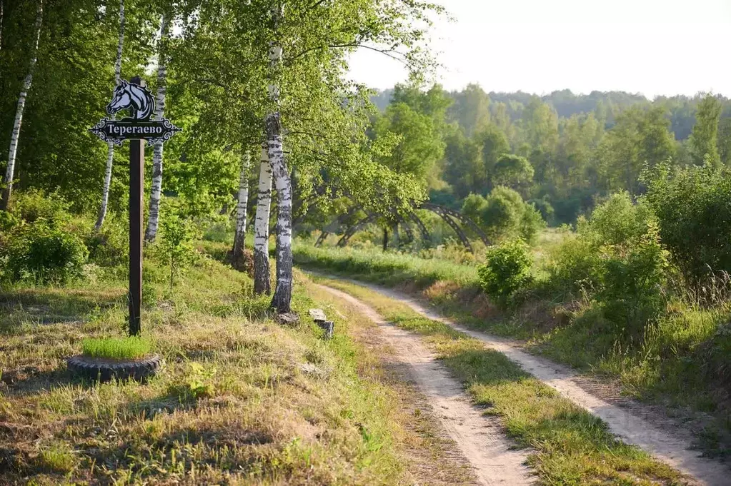 Участок в Псковская область, Островский район, Воронцовская волость, ... - Фото 1