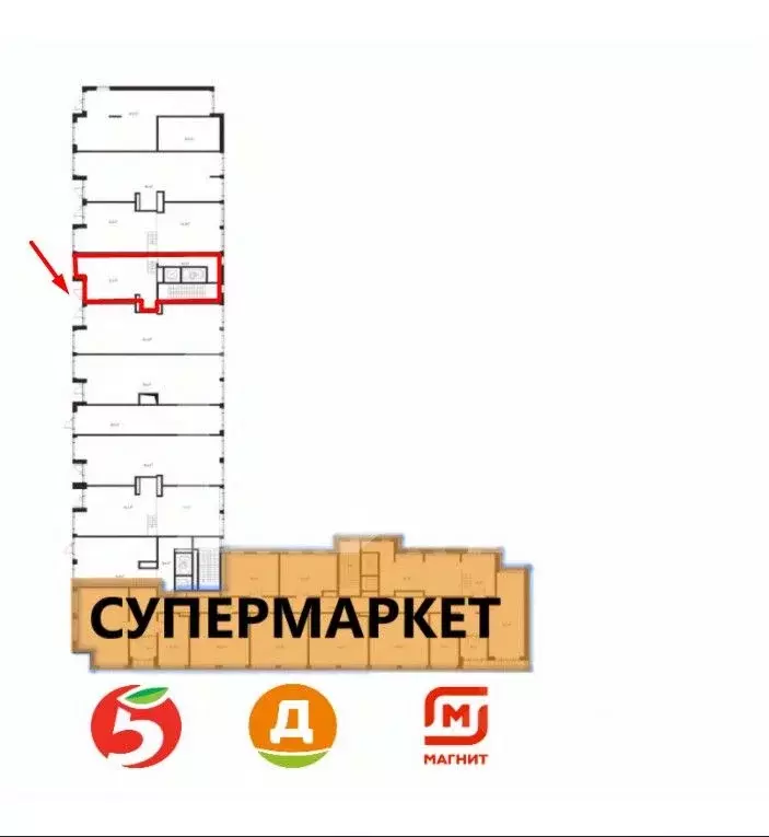 Торговая площадь в Московская область, Химки Клязьма-Старбеево мкр, ... - Фото 2