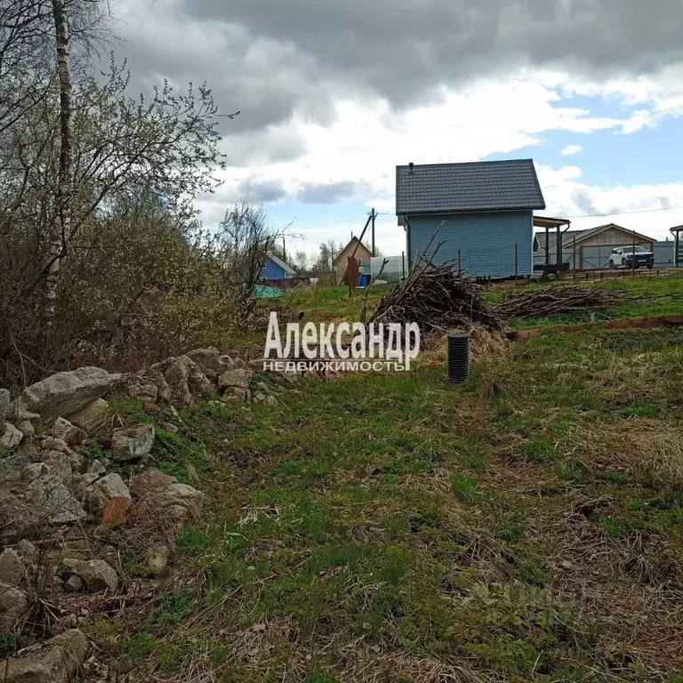 Участок в Ленинградская область, Выборгский район, Рощинское городское ... - Фото 1