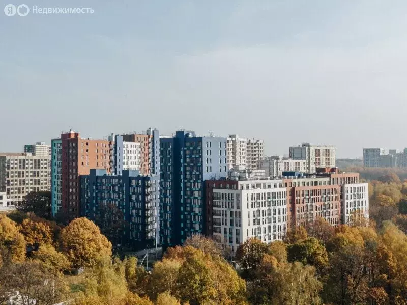 Квартира-студия: Москва, поселение Сосенское, квартал № 172 (24.2 м) - Фото 1