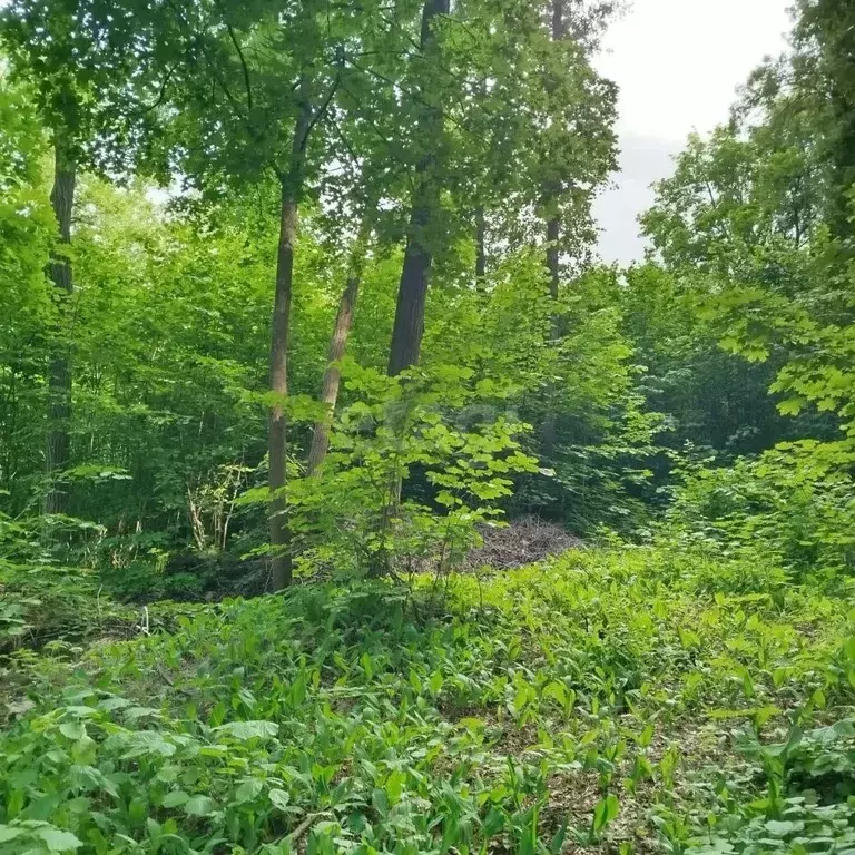 Участок в Самарская область, Самара пос. Управленческий,  (25.0 сот.) - Фото 2