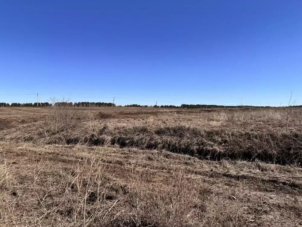 Участок в Иркутская область, Иркутский муниципальный округ, д. ... - Фото 1