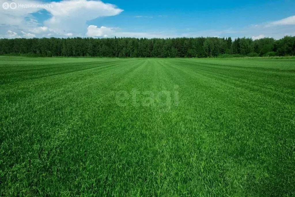Участок в село Любино-Малороссы, Восточная улица (6100 м) - Фото 1