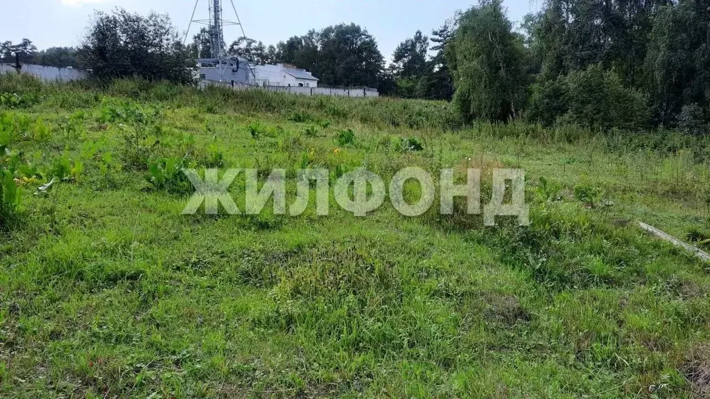 Участок в Новосибирская область, Новосибирский район, Барышевский ... - Фото 0