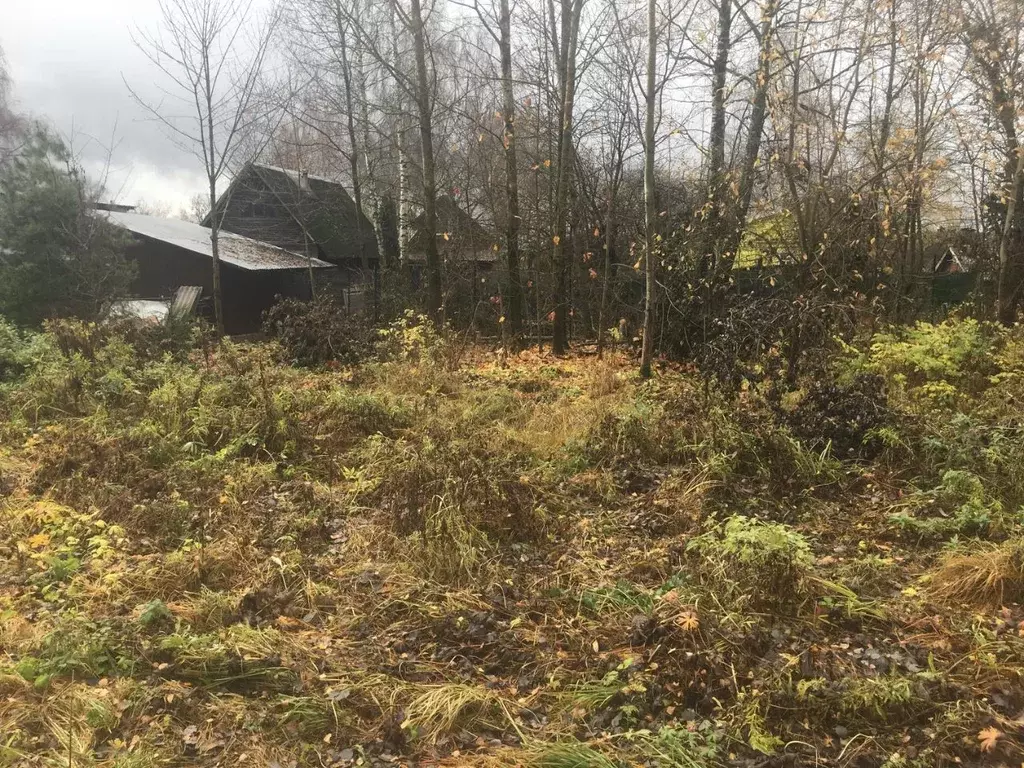 Участок в Московская область, Пушкинский городской округ, Софрино пгт ... - Фото 2