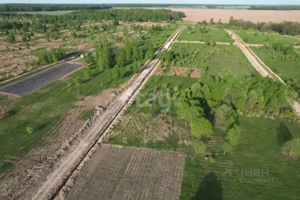 Участок в Калининградская область, Гвардейский муниципальный округ, ... - Фото 2