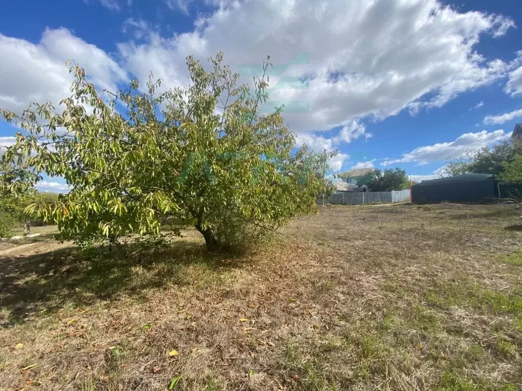 Участок в Крым, Симферопольский район, Перовское с/пос, Рино СТ 13 ... - Фото 2