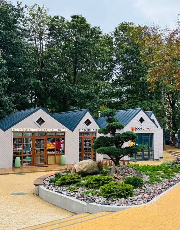 Торговая площадь в Калининградская область, Светлогорск ул. Динамо, ... - Фото 1