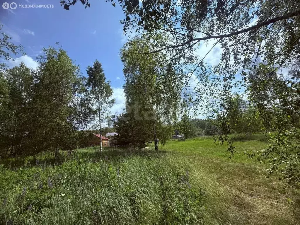 Участок в Петушинский район, муниципальное образование Нагорное, ... - Фото 1