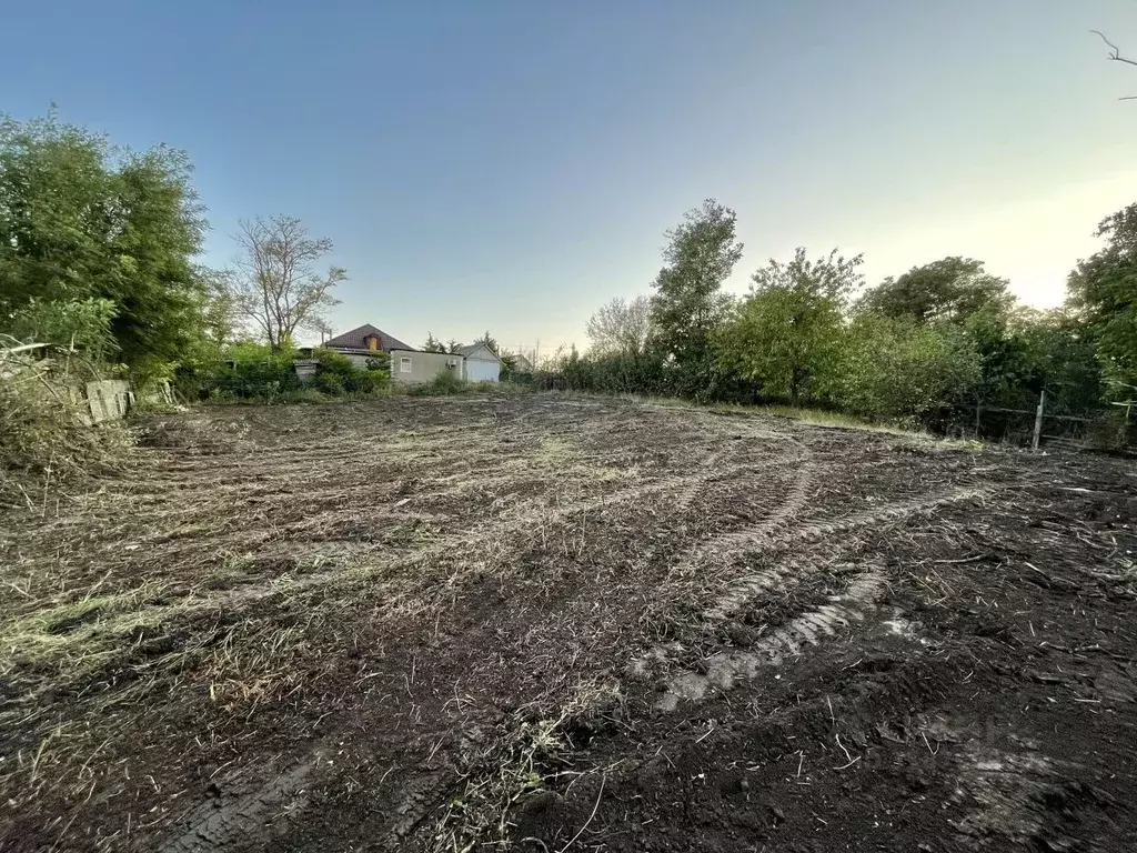 Участок в Краснодарский край, Темрюкский район, Курчанское с/пос, ... - Фото 2